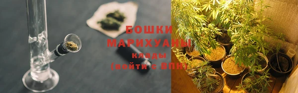 ГАЛЛЮЦИНОГЕННЫЕ ГРИБЫ Бронницы