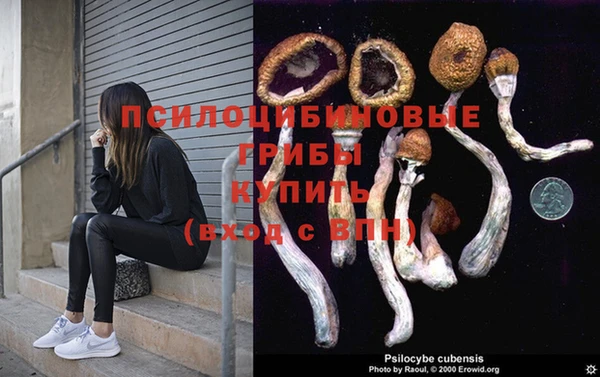 ГАЛЛЮЦИНОГЕННЫЕ ГРИБЫ Бронницы